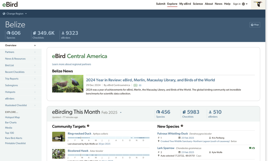 Using ebird Belize 